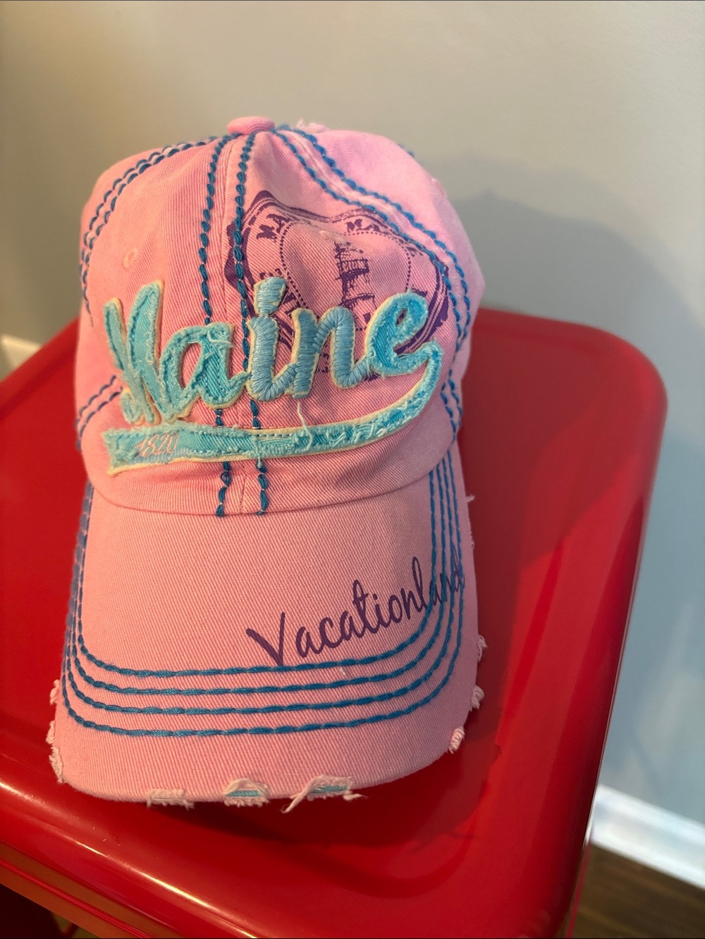 Robin Ruth Pink Cap with Teal Embroidery